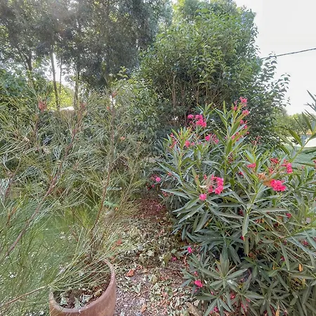 Renovated Near Argens River *
