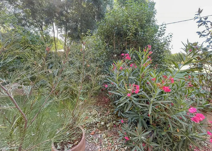 Renovated Near Argens River *